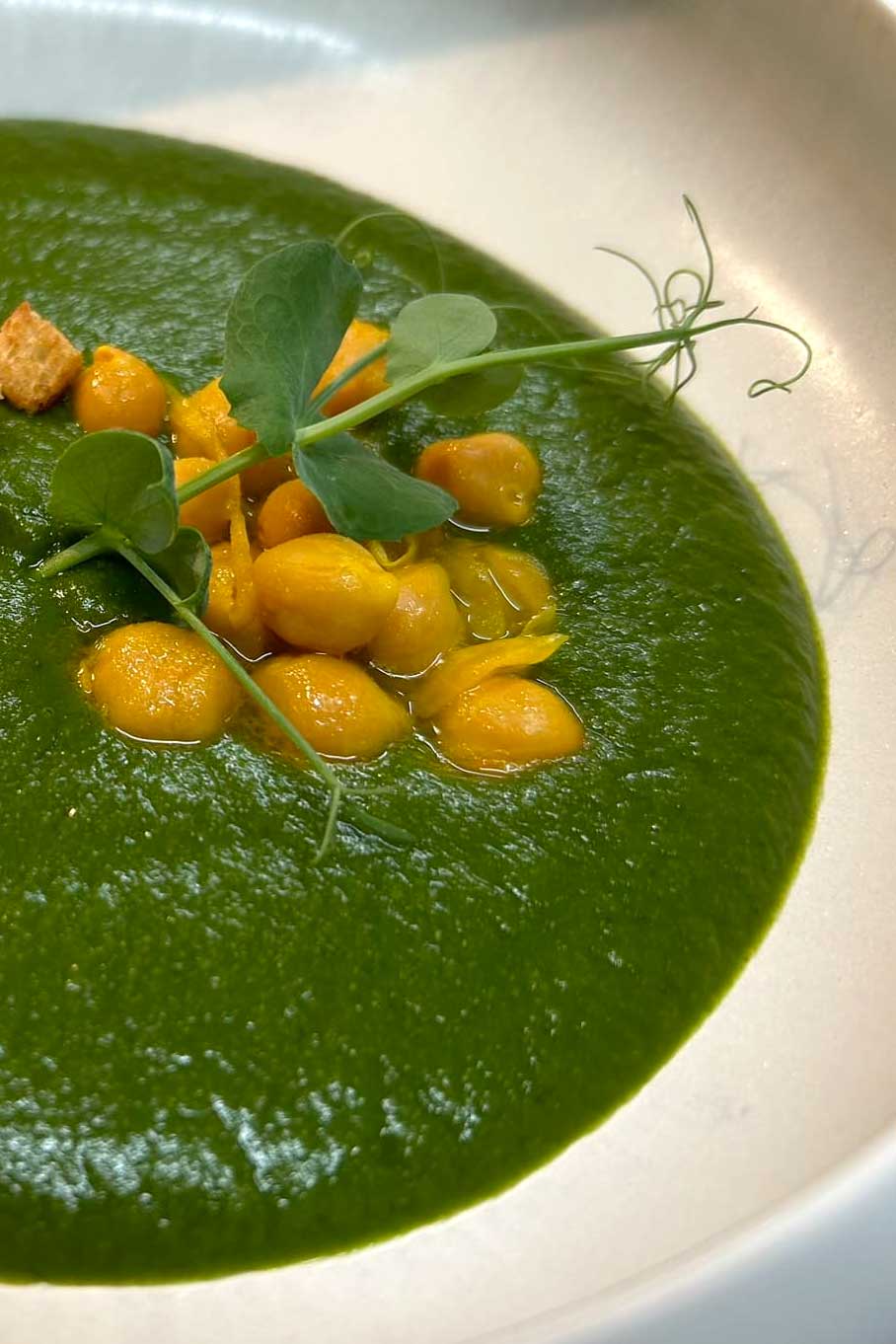 Crema di verdure con ceci croccanti e olio moraiolo - Osteria Tipico Montone